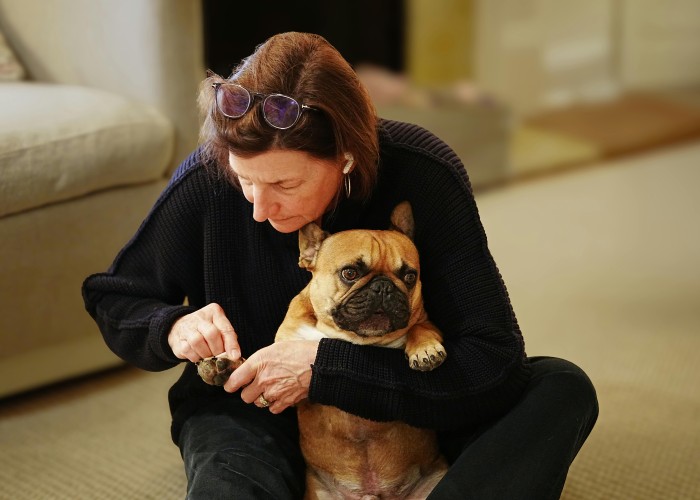 How To Remove Dog Smell From Carpet Complete Guide For Fresh And Clean Floors