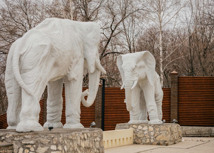 The Steal-Worthy Secret: Best White Elephant Gifts Under $50 That Everyone Will Fight Over