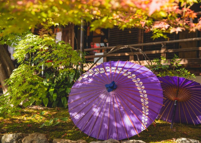 Buy Designer Umbrella: Where Fashion Meets Functionality