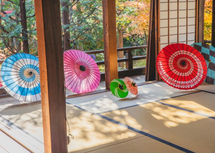 Buy Simple Umbrella: Stay Stylish and Protected in Every Season