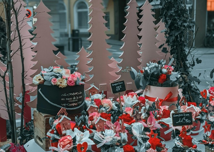 The Smart Shopper’s Secret: Hitting the Christmas Gift Sale for Maximum Impact