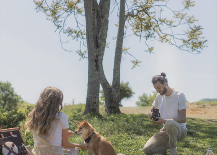 Popular Male Dog Names Fresh Strong Heartfelt Picks