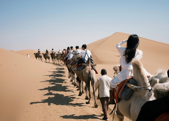 Great Sandy Desert Dune Camping NW WA Tour Trek Guide: Ultimate Adventure in Australia’s Red Sands