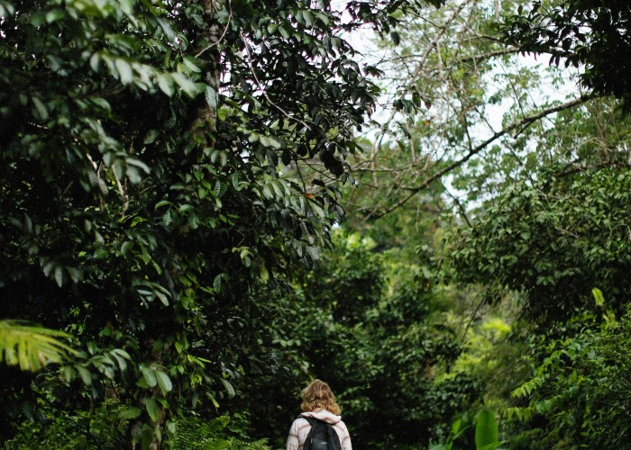 From Mountains to Sea: Mare A Mare Nord Trek Corsica Complete Guide