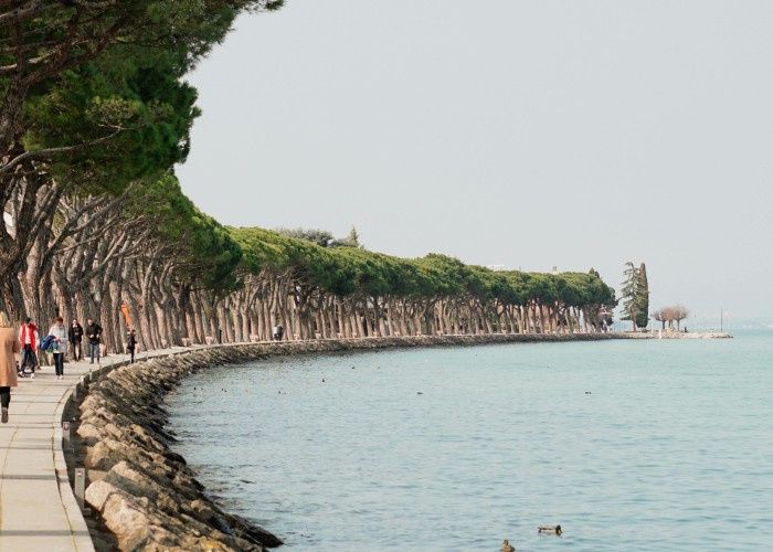 Dentrecasteaux National Park Coastal Walk WA: A Breathtaking Trek