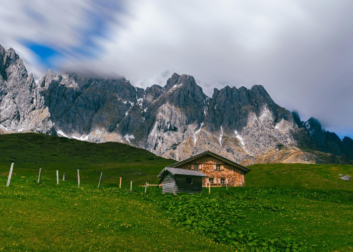 Wildflower Meadows Alpine Flora Walks: Spring Hikes In Switzerland