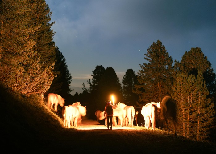 Madeira PR1 Three Peaks Trek Guide To Portugals Epic Ridge Walk