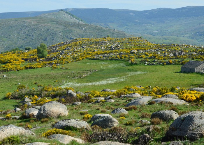 Mont Blanc Hut to Hut Trek: Explore the Italian and French Alps