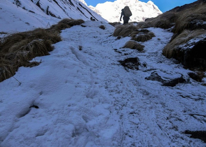 Swiss Jungfrau Region Hikes Explore Majestic Alpine Trails